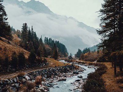 茶杯狐快读不快信：先问导语是不是先下判断，再把主语写清楚（读完更清楚）